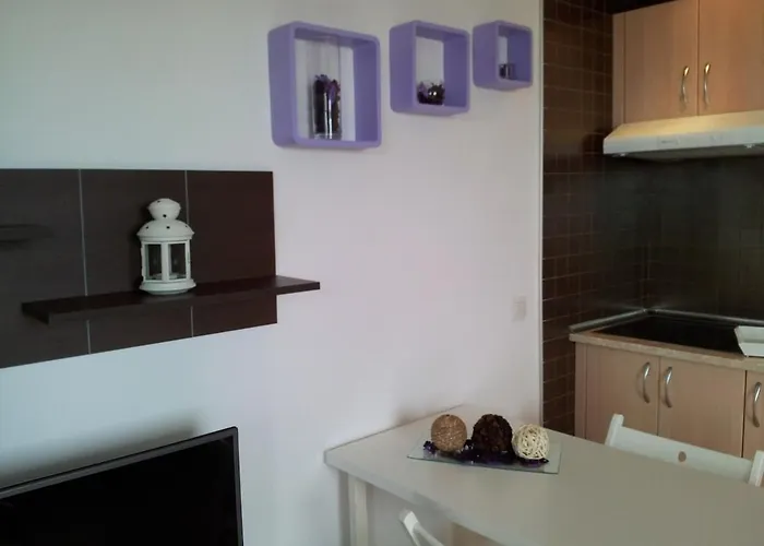 Apartment Sea View Terrace Orlando *